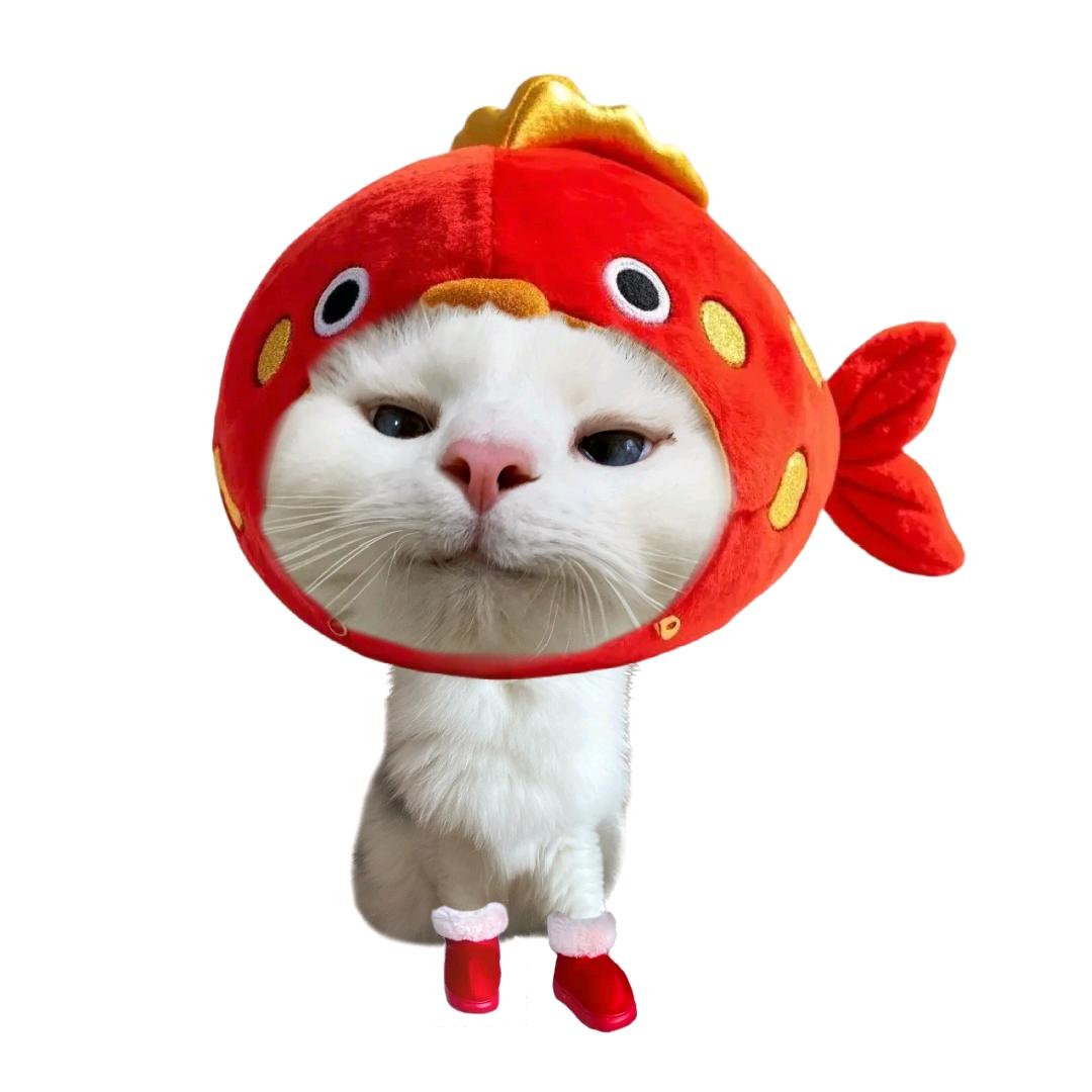 鱼哈哈！