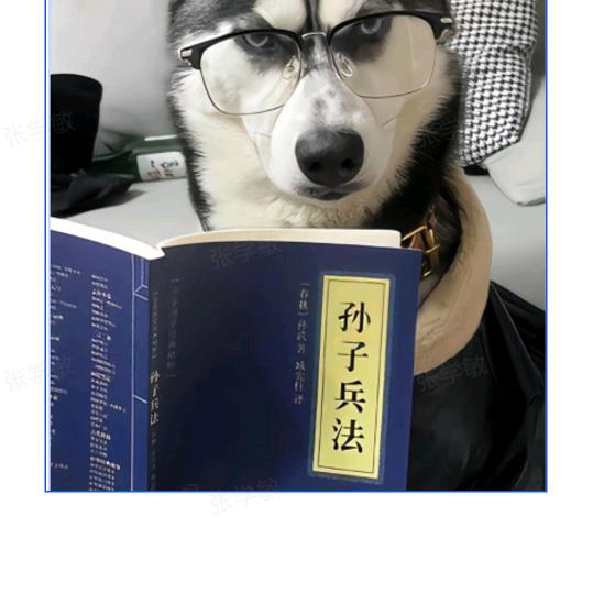 阿敏搞笑图文