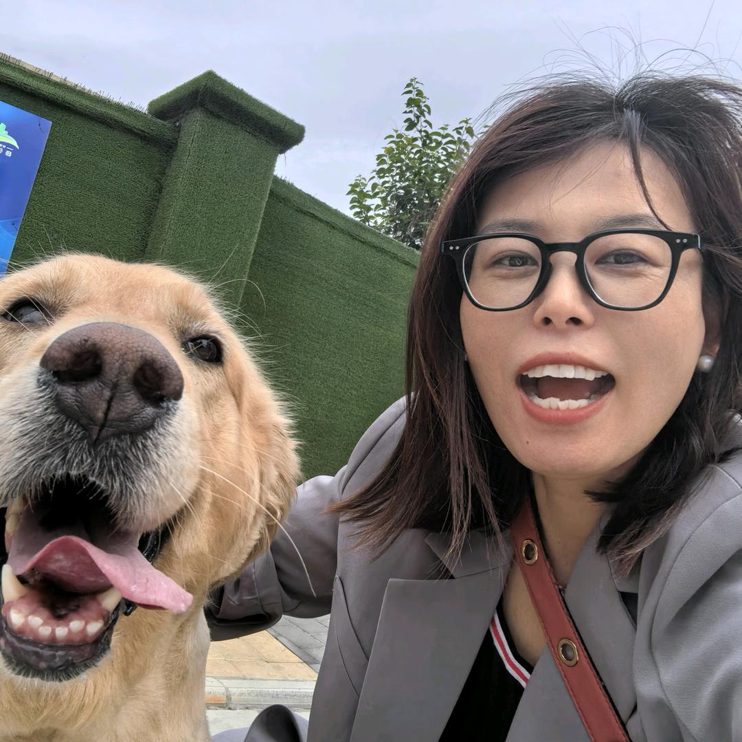 🌼快乐太阳花🌼