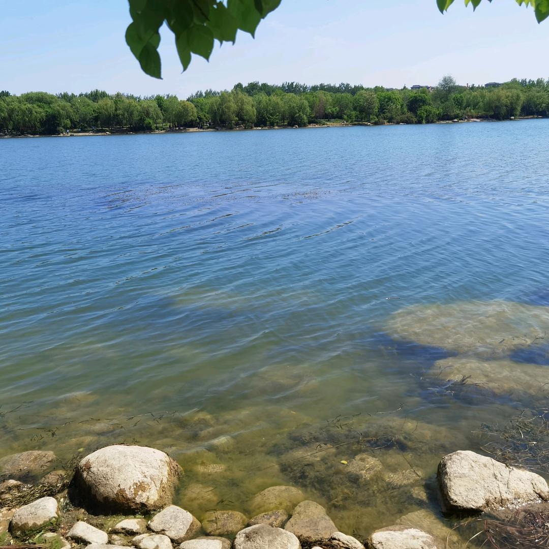 Jasmine老师带英文阅读