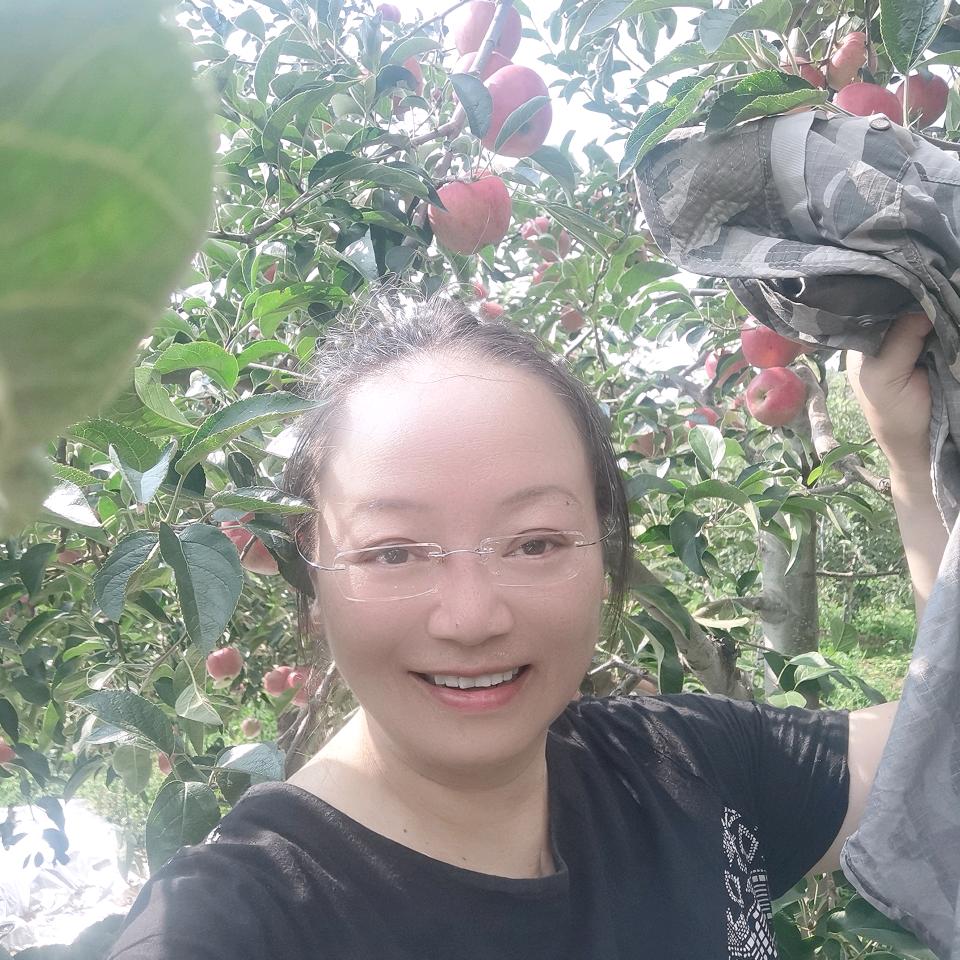 蜂临天下