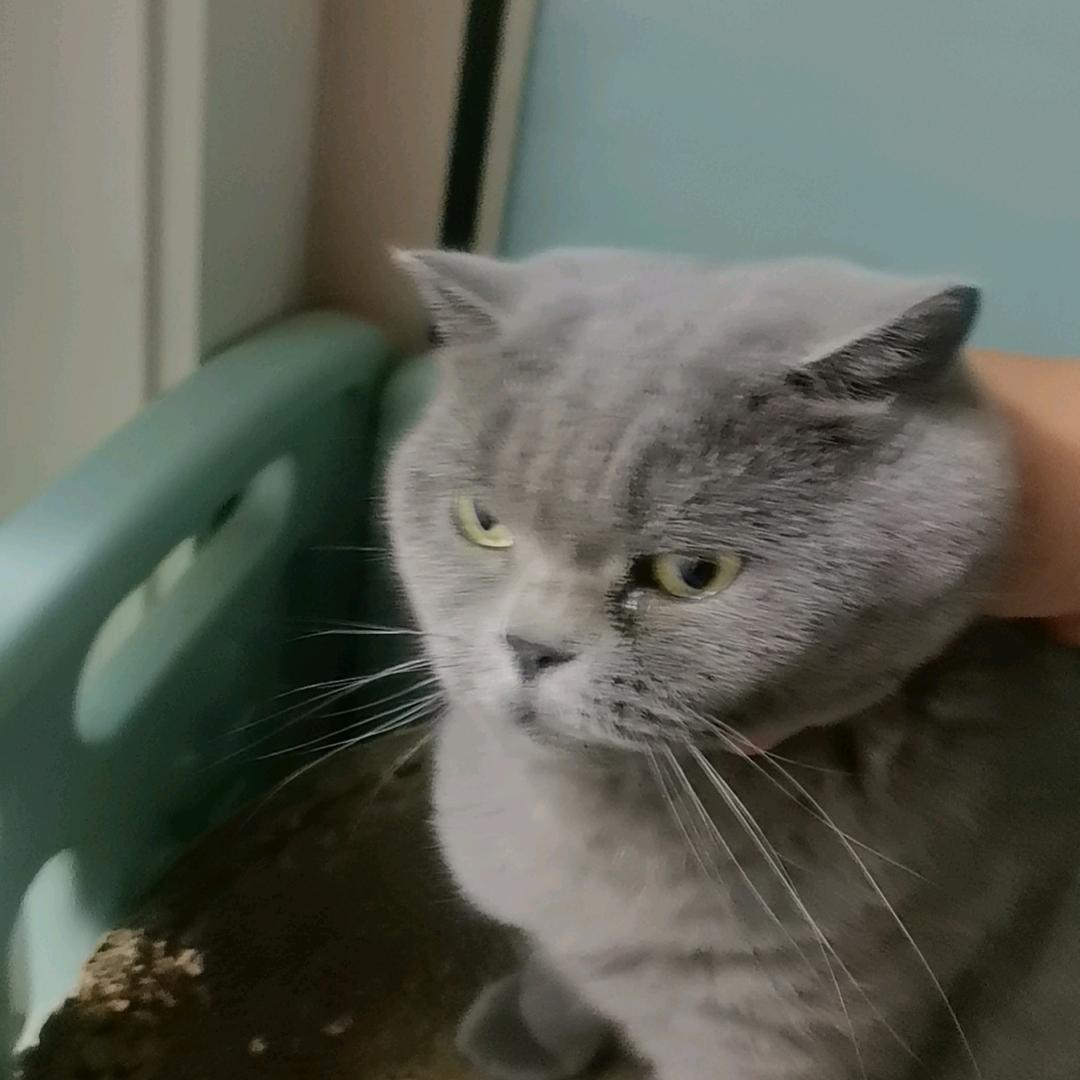 醉爱疯