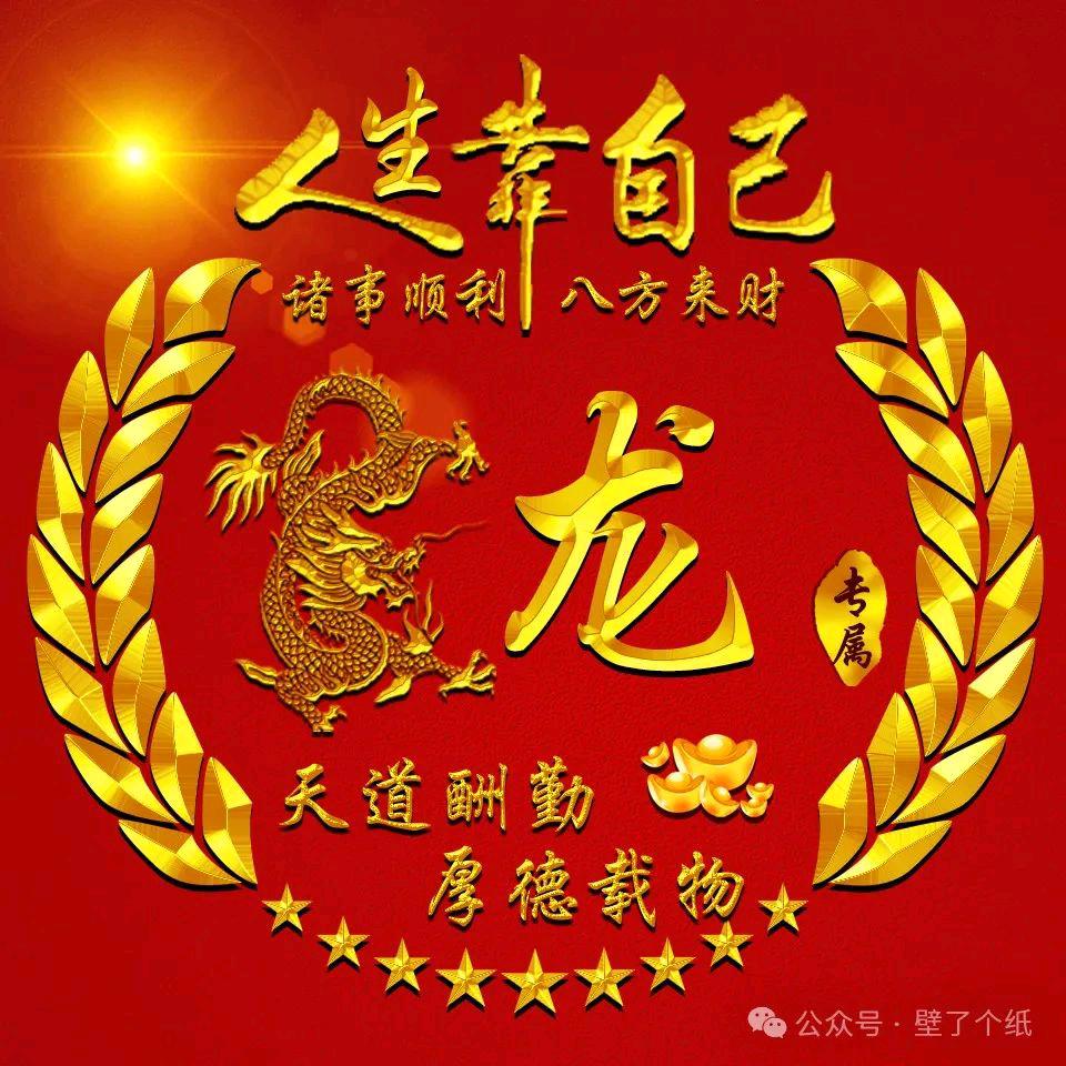 槟榔种子槟榔苗