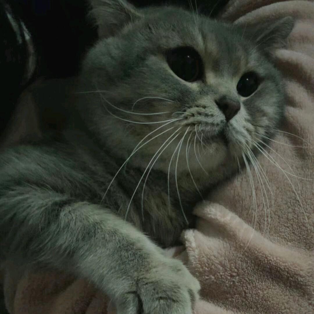 依依321