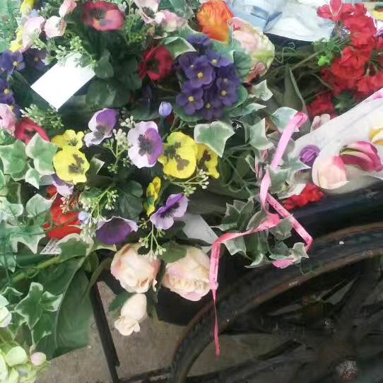 今后余生我陪你