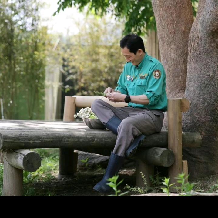 🍃逆袭之星途璀璨🍂九🏆龙妹妹🍁