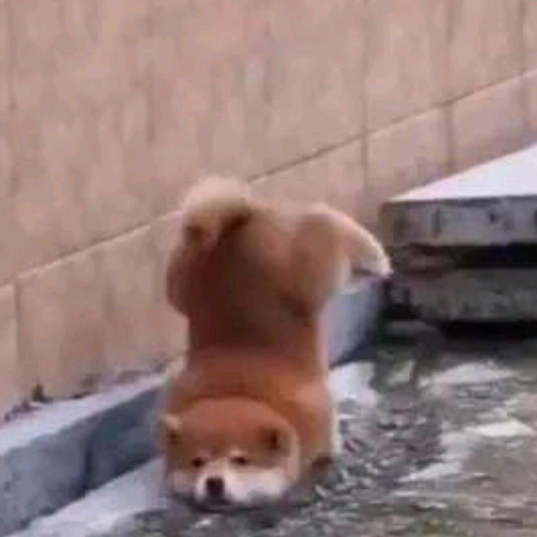 G.