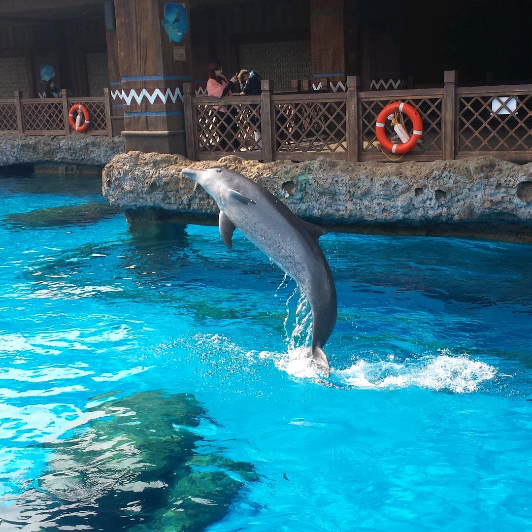 ꧁往事♥归零꧂