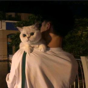 强仔♥