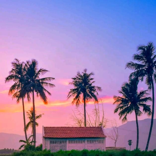 心静如水心静如水