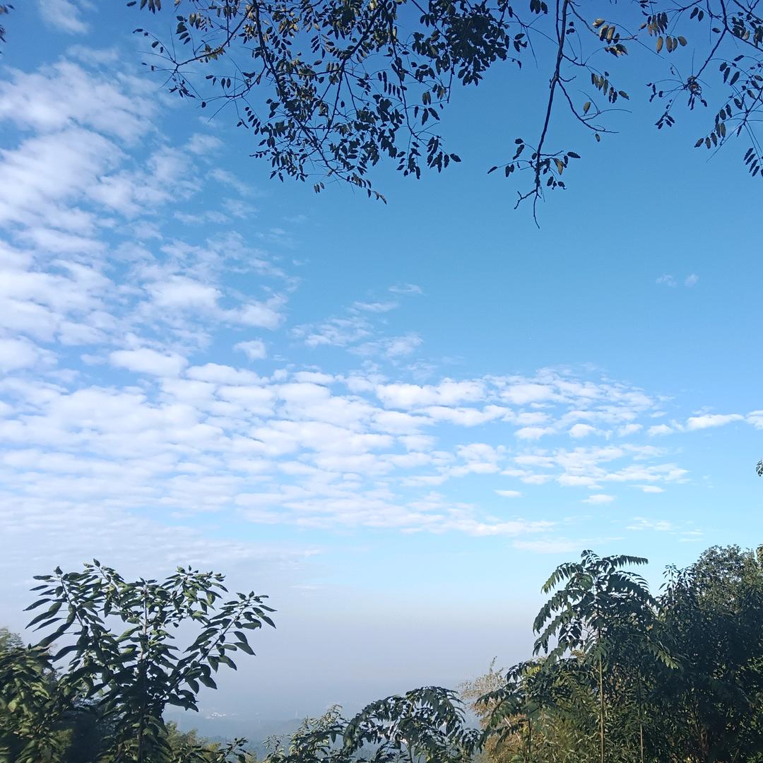 峰山坳丘农庄