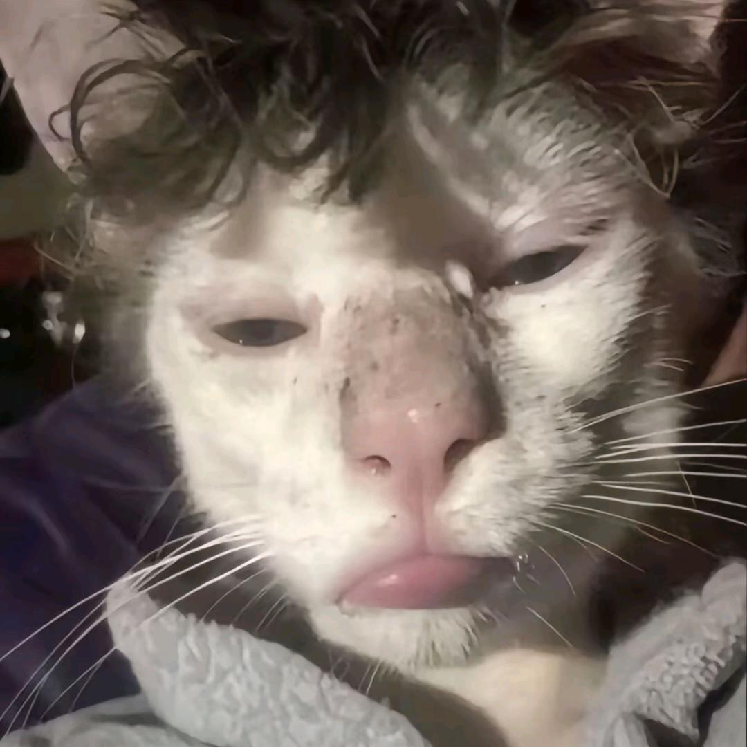 派大星的海洋裤