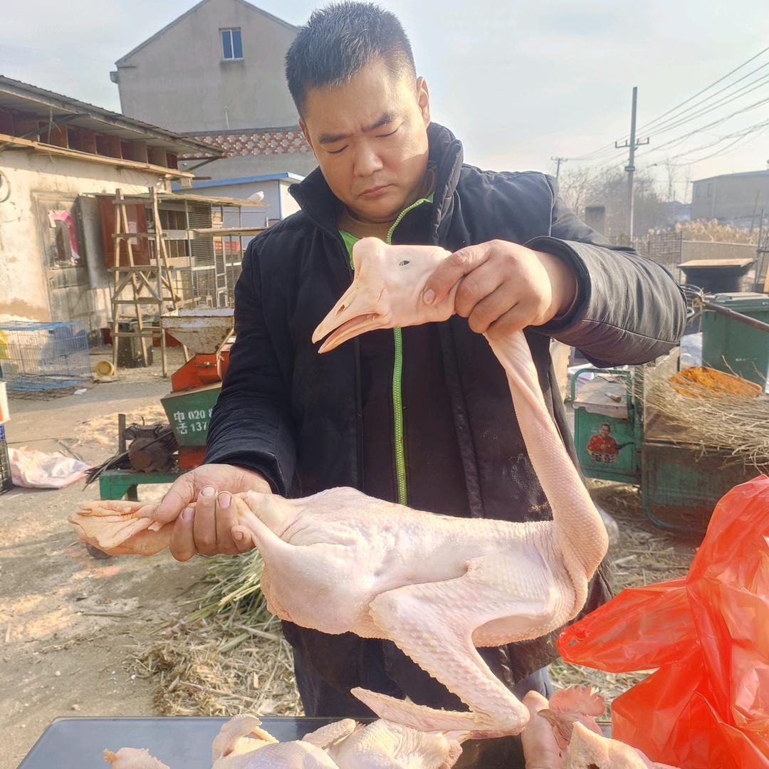 姜大伟
