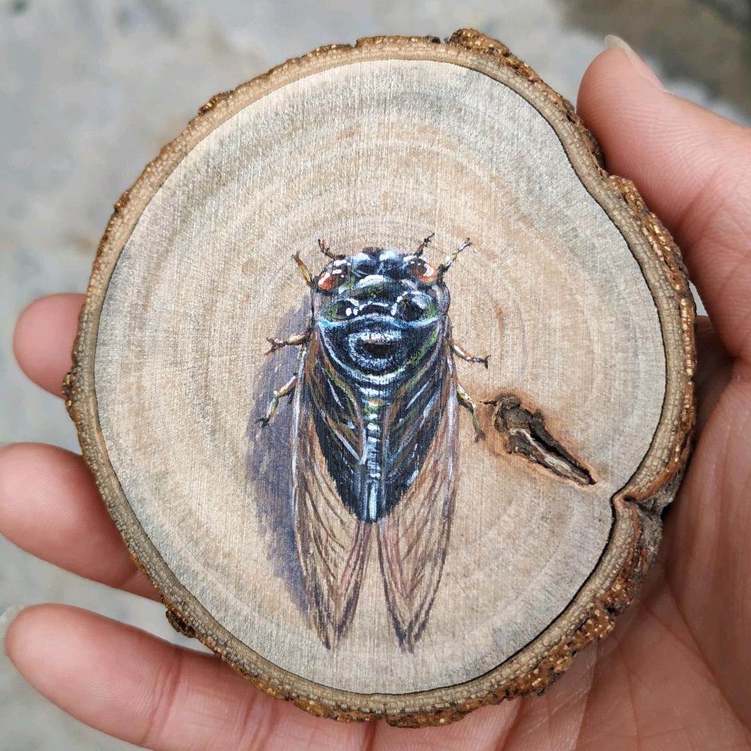 🍀🥂无忧🛸🍀