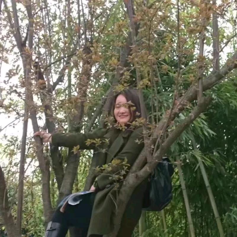 天涯悠幽草