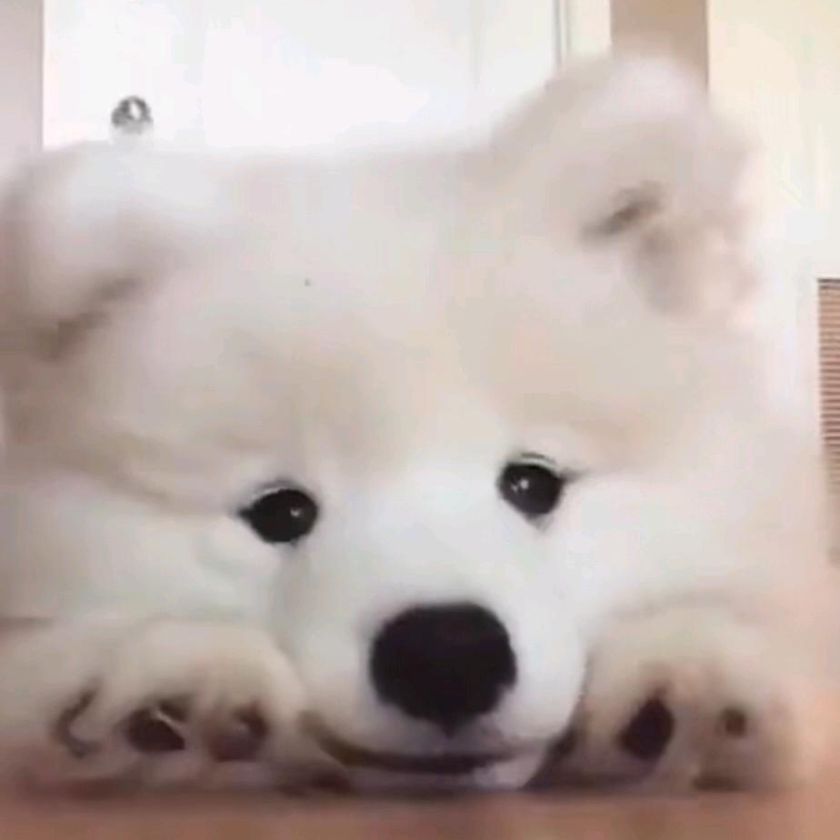 椰~