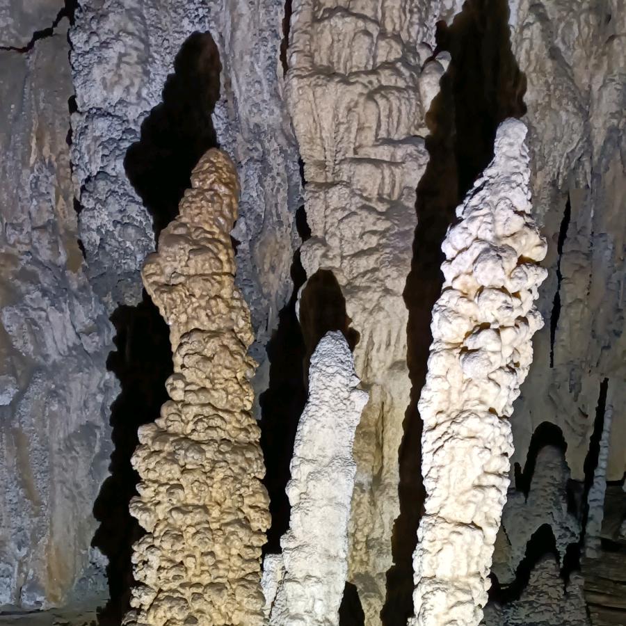 意এ᭄༊无💕失ღ忆࿐