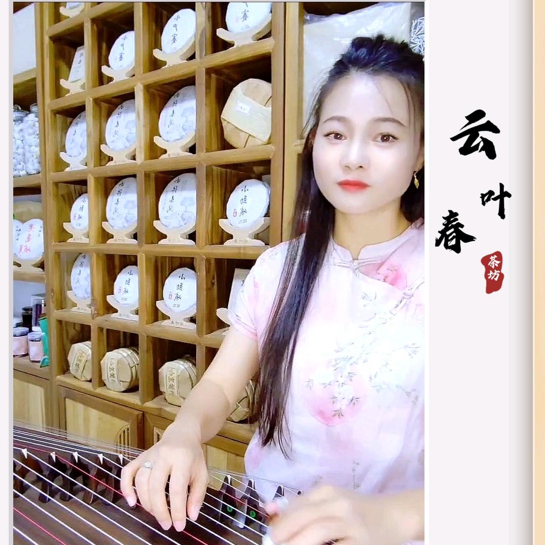 勐库冰岛茶区普洱茶
