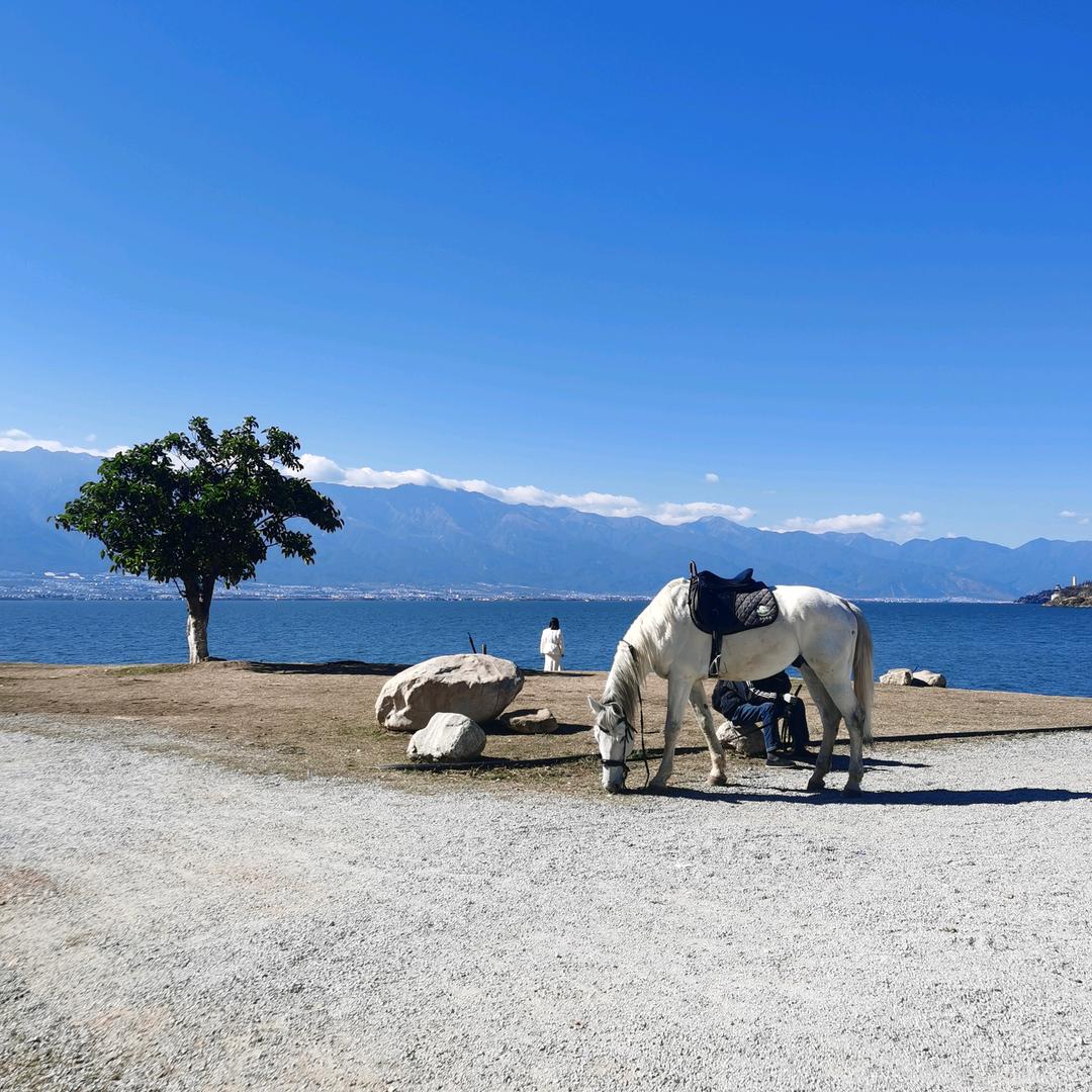 驴途户外|领队