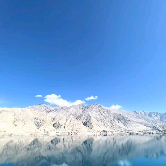 思念