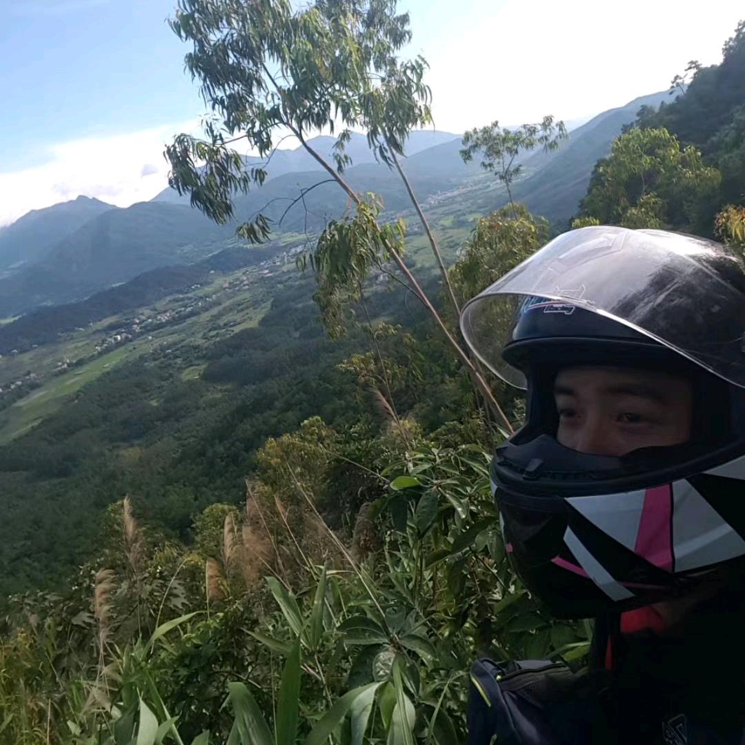 红星闪闪趴地熊