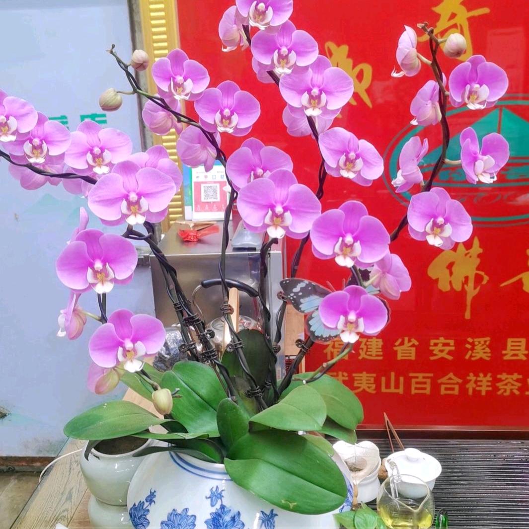 独酌晚风