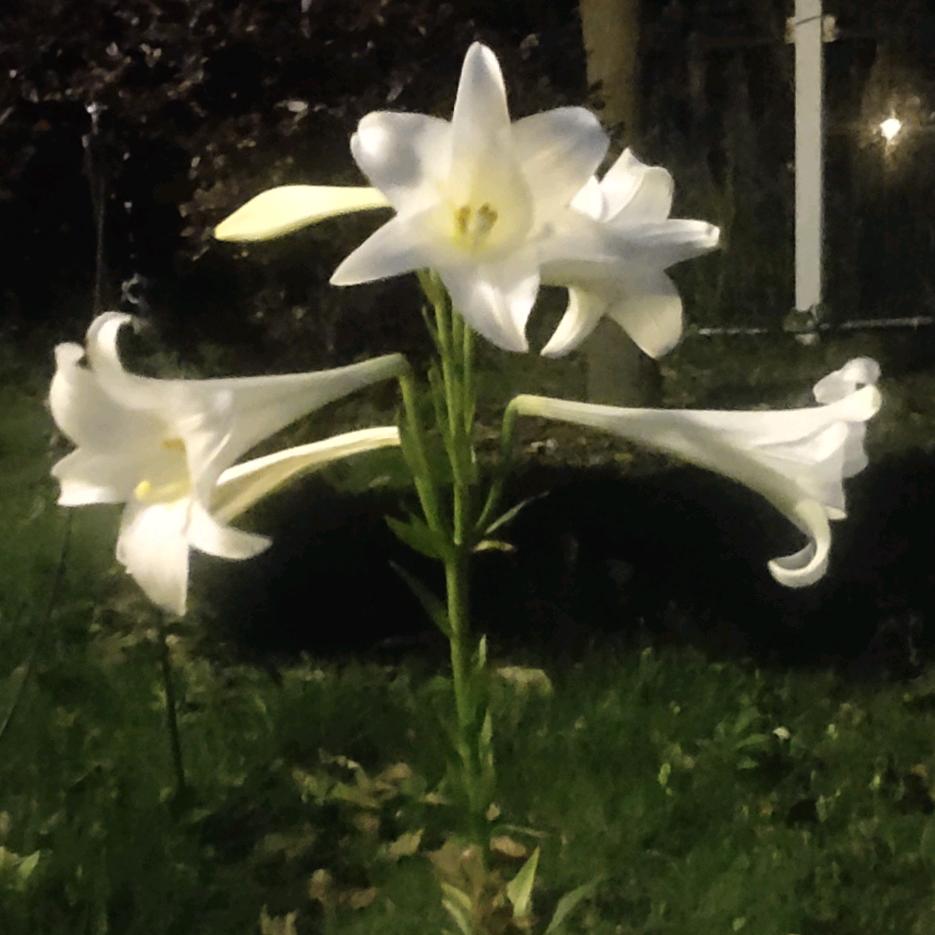 ！。  默    。！