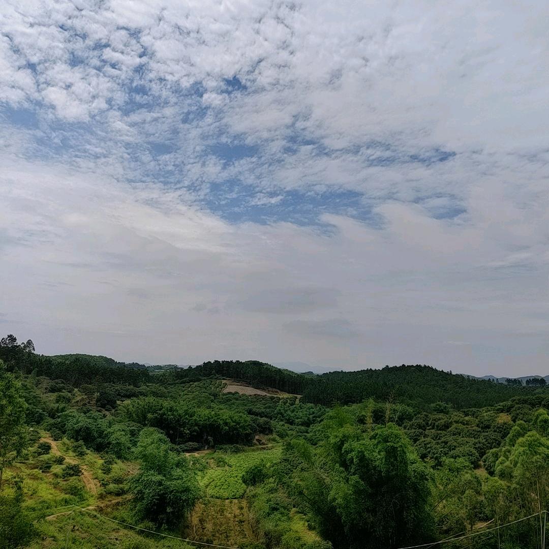 连连