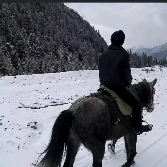 擦杯子大赛第一名