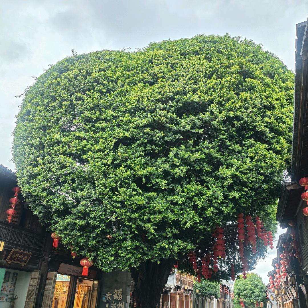 ꧁༺ཌ༈贫道爱泡妞 ༈ད༻꧂