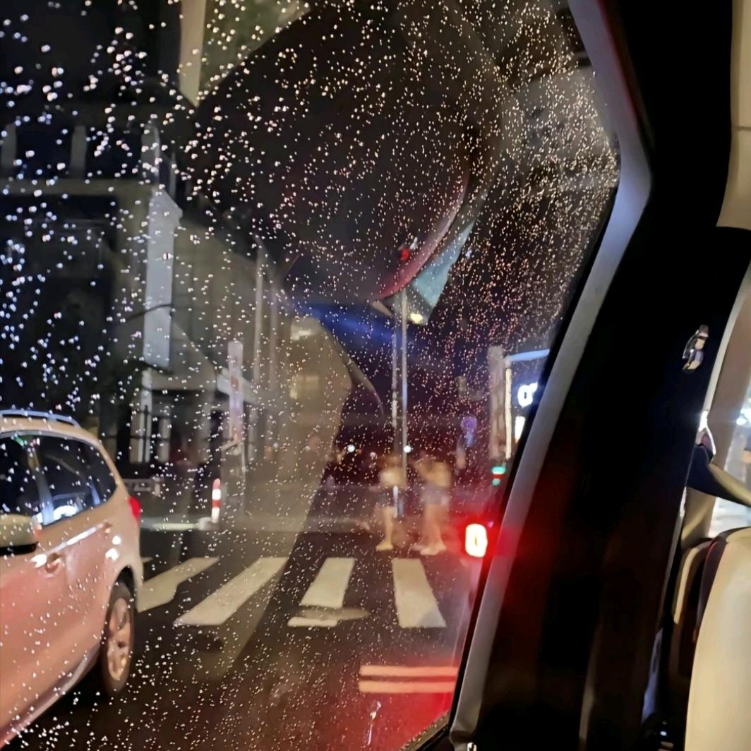 南喃