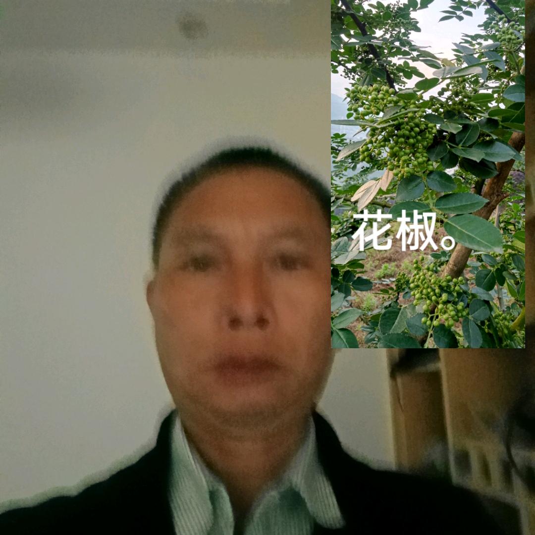 马老四，重庆奉节自家脐橙，