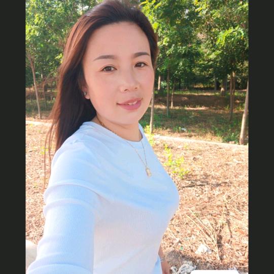 小燕子