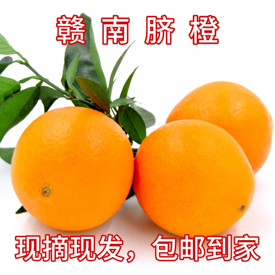 定南县赣南脐橙意隆果园直供