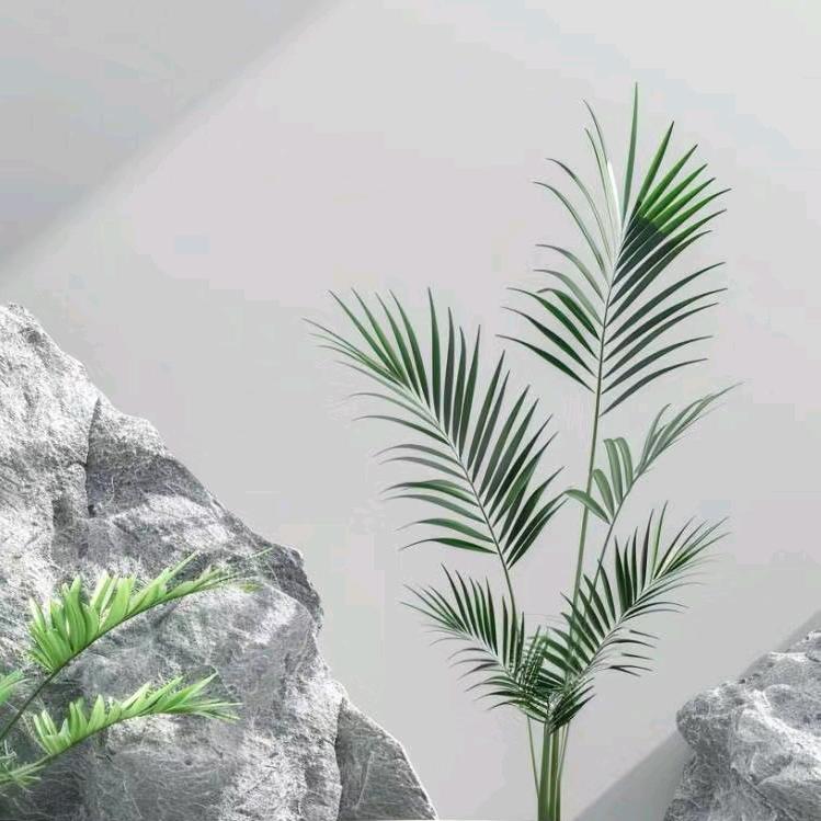 优选精品好物