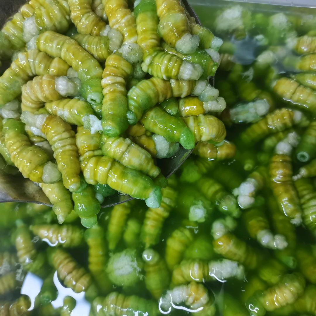 茆家豆丹圩丰