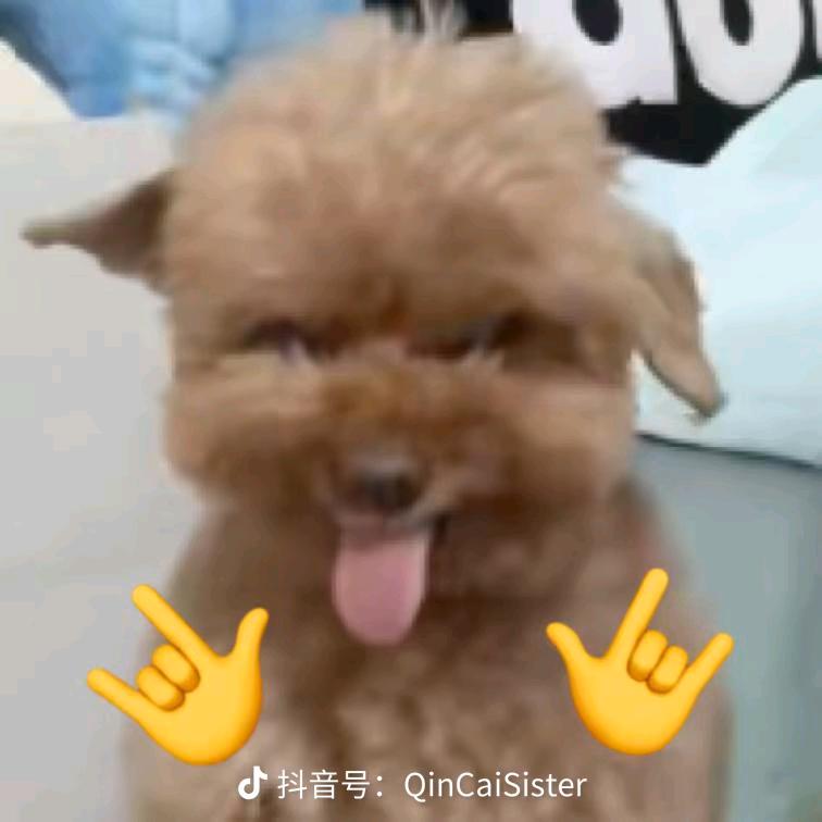 三文鱼小卷卷