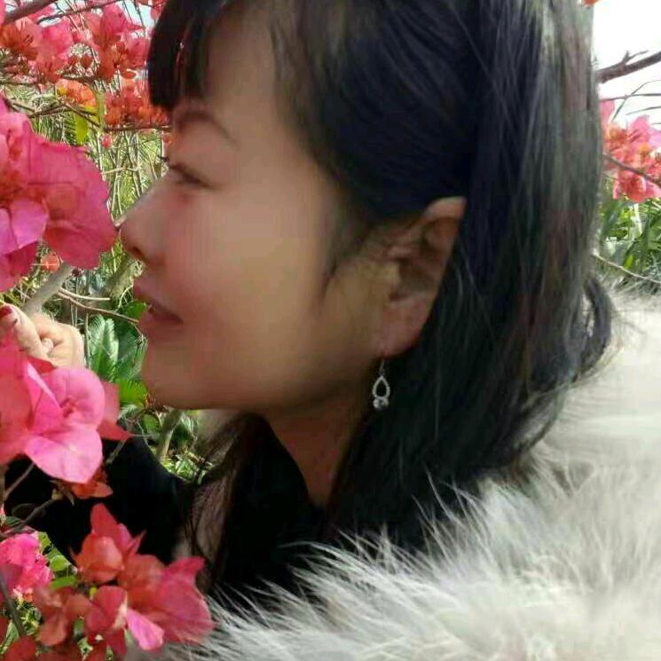 冬雪寒梅