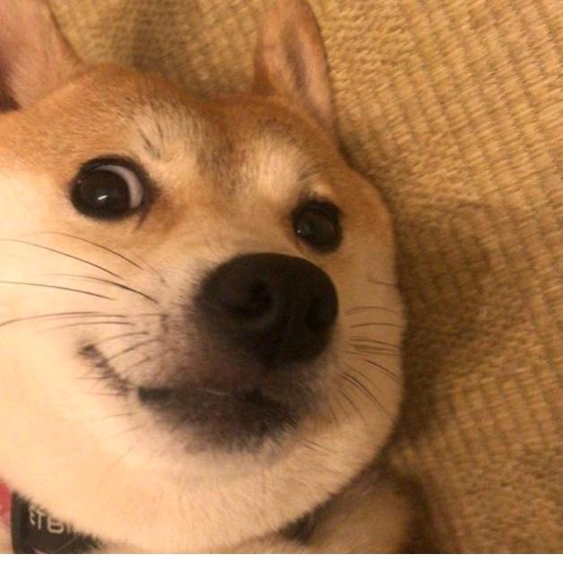 ViVi呀!🌈