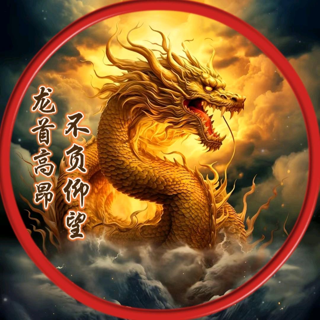 🐉ꩵ࿌ོ࿆你随意…
