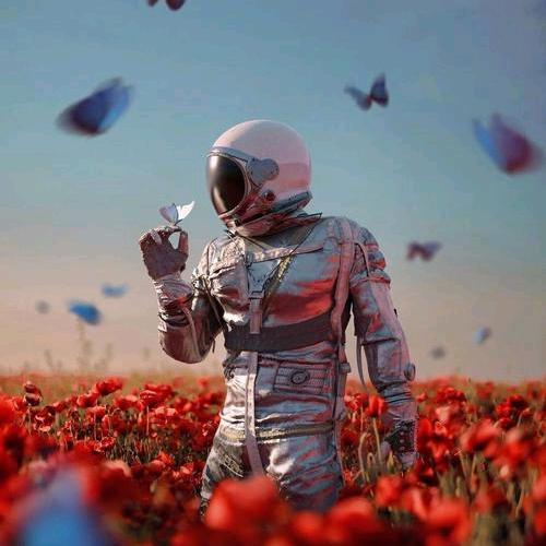 ……，🌸