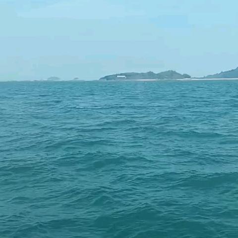 梦中有你