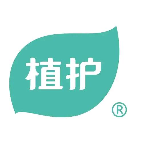 风月