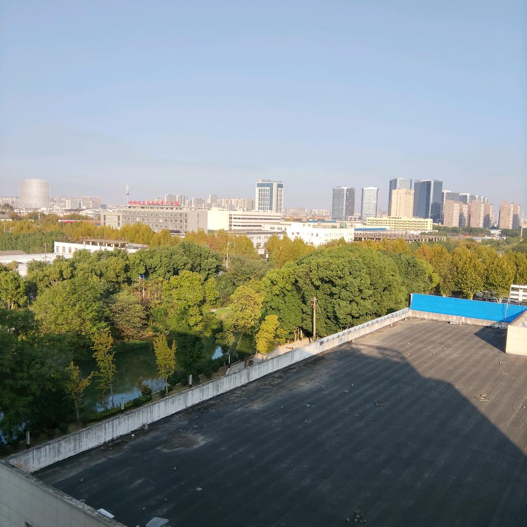 cici优选