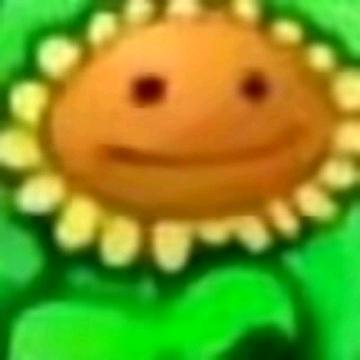 人机