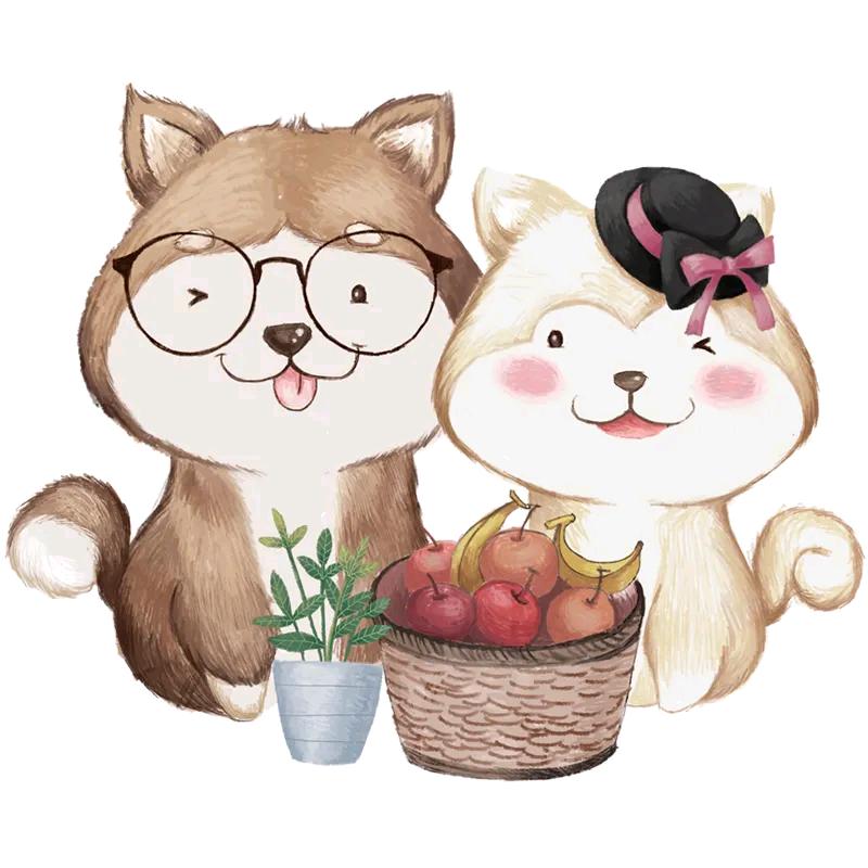 小丸子日记