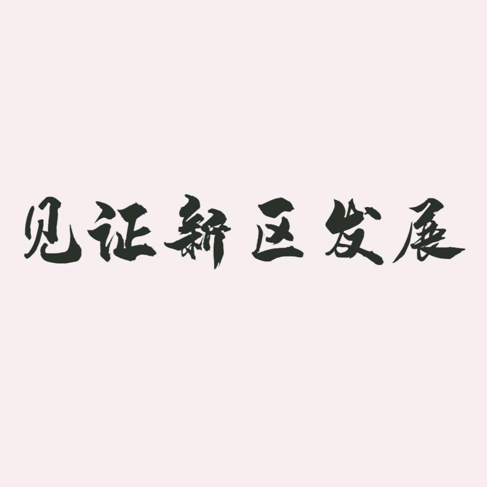 见证新区发展