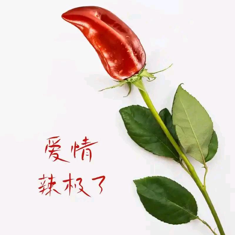 爱情炒辣椒