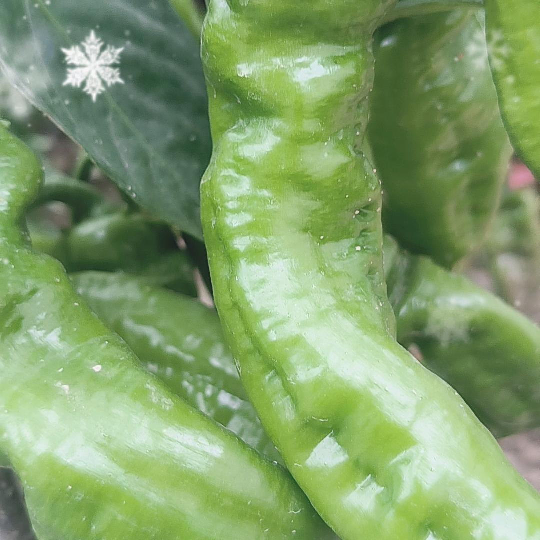 我的错