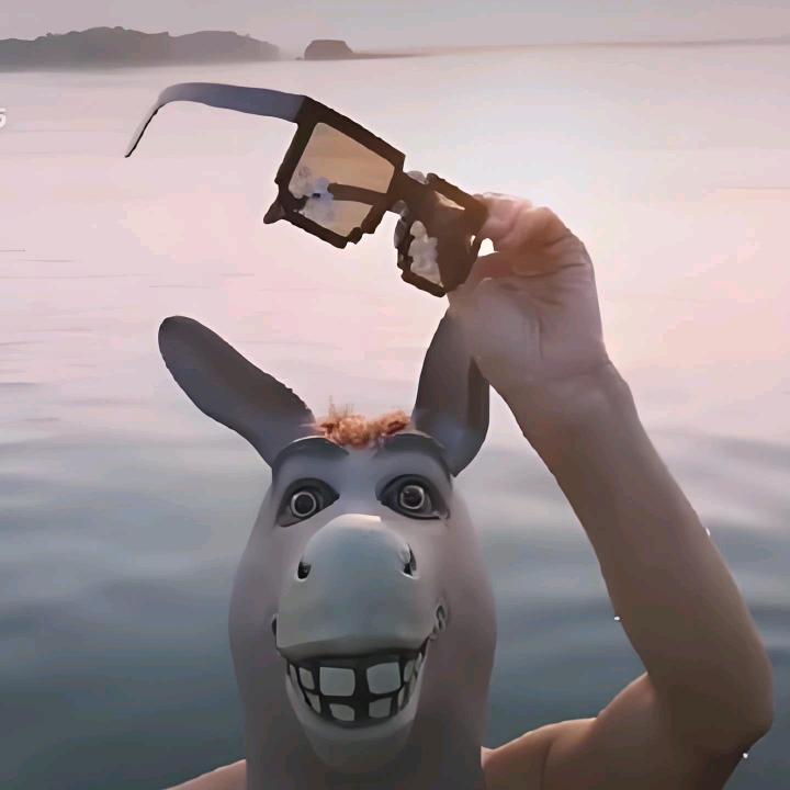 游泳的驴